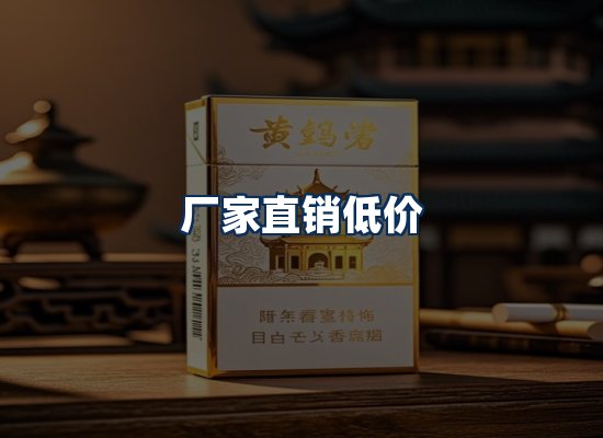 专业团队办公环境